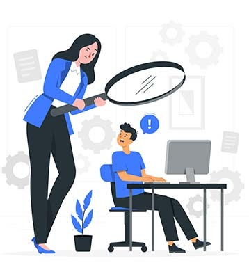 Business Process & System Audit