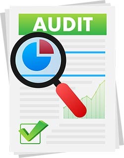 Statutory Audit Services